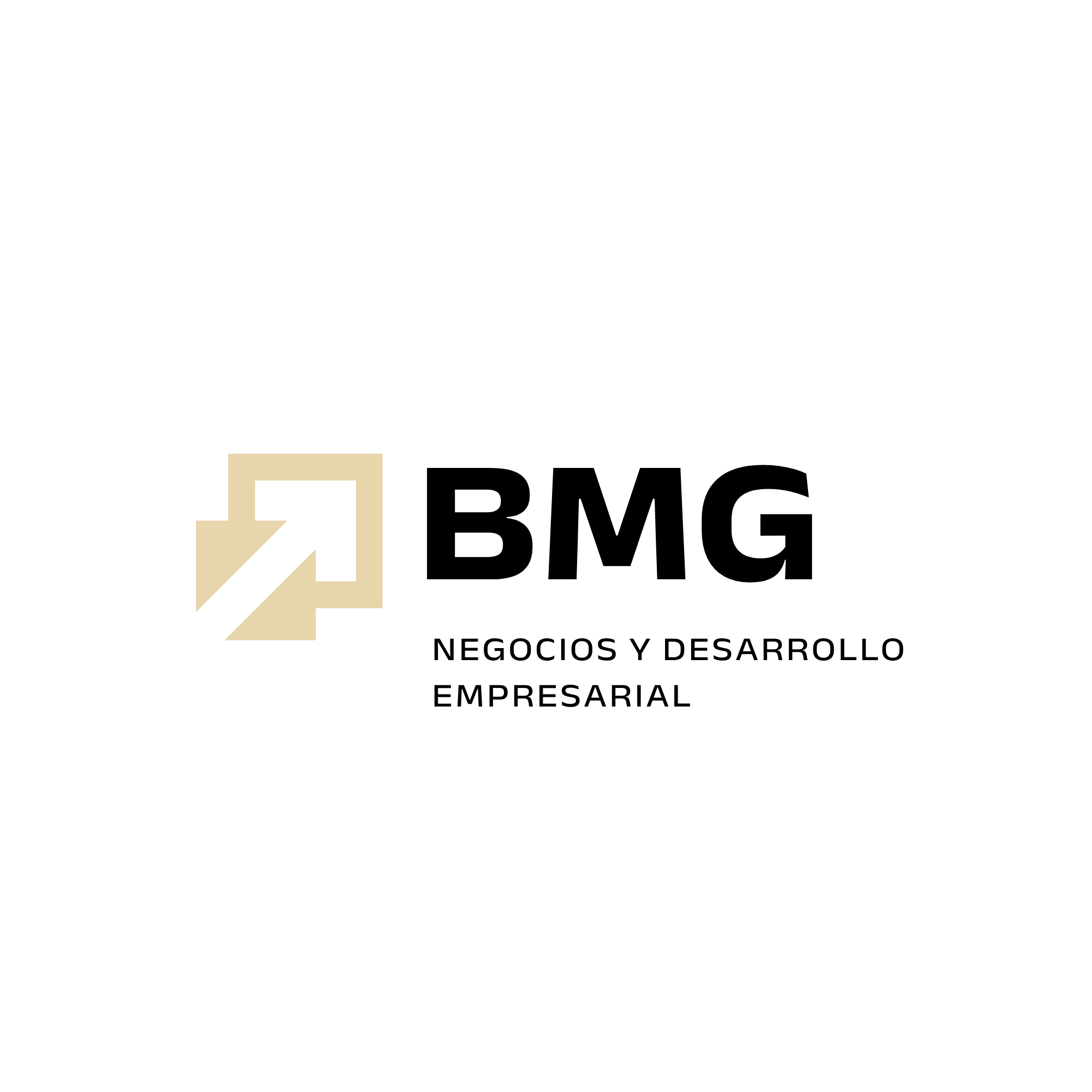 BMG Consultores Logo